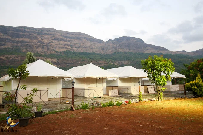 necklace-hill-resort-tents