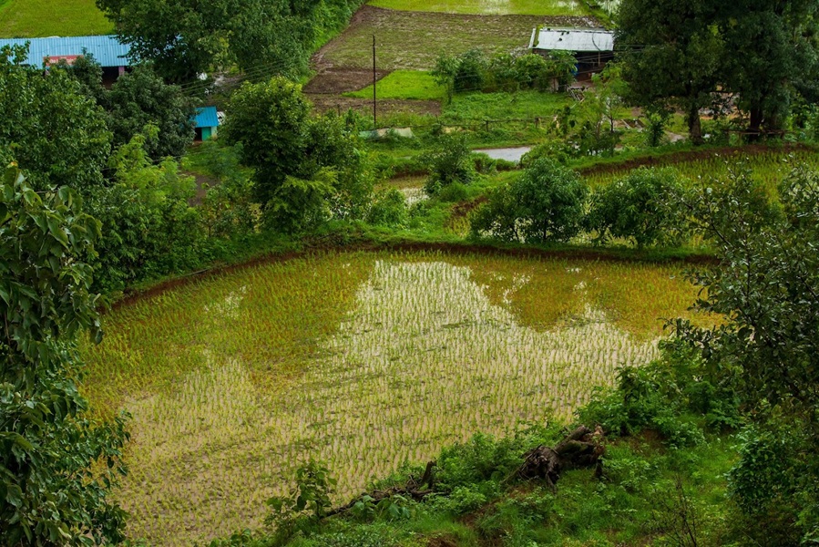 Scenic landscape near Necklace Hill View Resort featuring lush green hills, waterfalls, and natural beauty in Bhandardara.