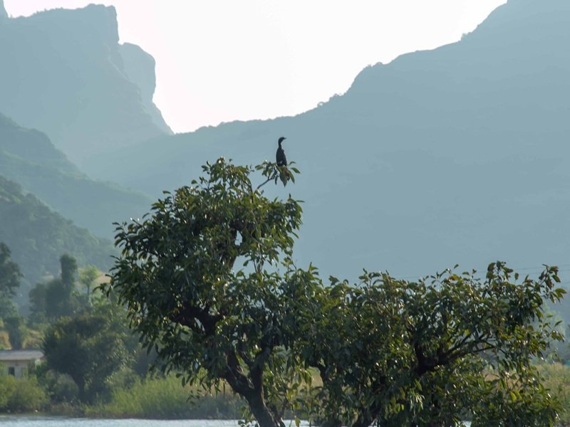 Family enjoying a peaceful nature getaway in Bhandardara
