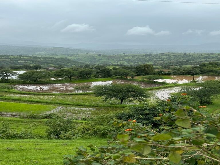 Traditional village life surrounded by hills near Bhandardara