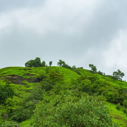 Scenic hill views from Necklace Hill View Resort in Bhandardara surrounded by lush green mountains and peaceful natural landscapes.