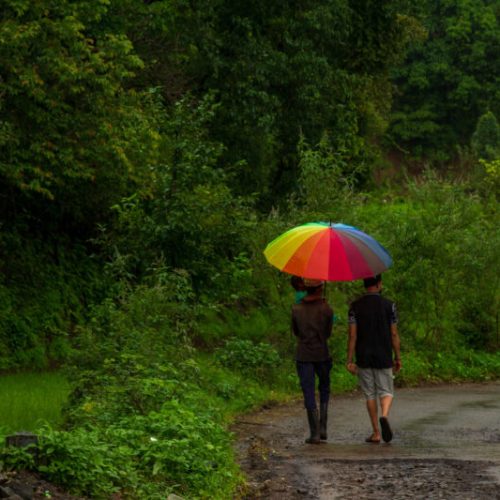 Best Resort in Bhandardara for peaceful relaxation