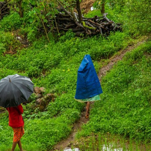 Beautiful monsoon scenery in Bhandardara with waterfalls and green hills
