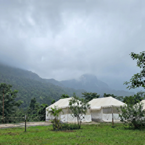 Experience serenity and nature at the best resort in Bhandardara